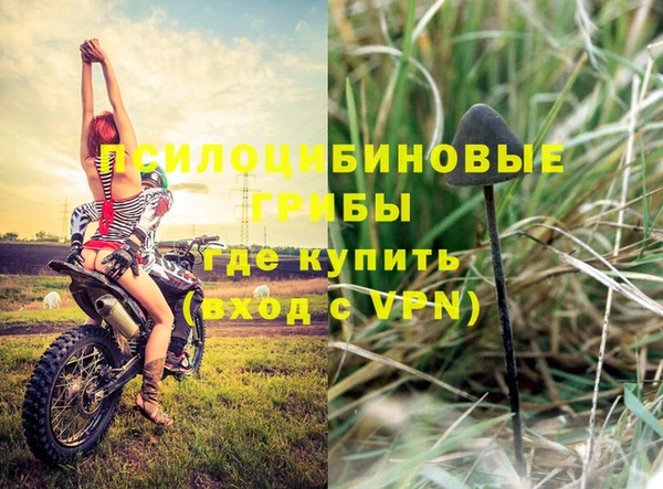 трава Сясьстрой