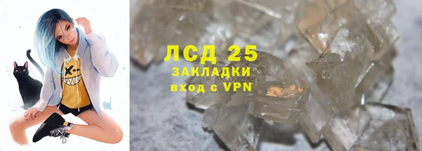 трава Сясьстрой