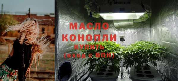 PSILOCYBIN Тайга