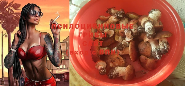 гашик Абдулино