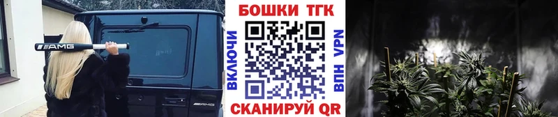 Бошки Шишки SATIVA & INDICA  закладки  ОМГ ОМГ как войти  Торопец 